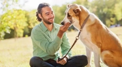 Як спілкуватися з пет та попередження проблем